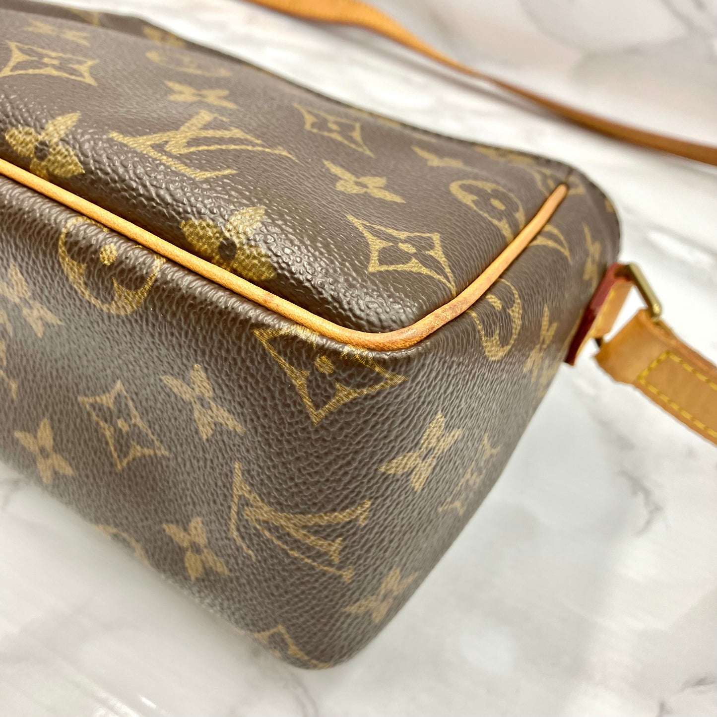 LOUIS VUITTON Monogram vivacite