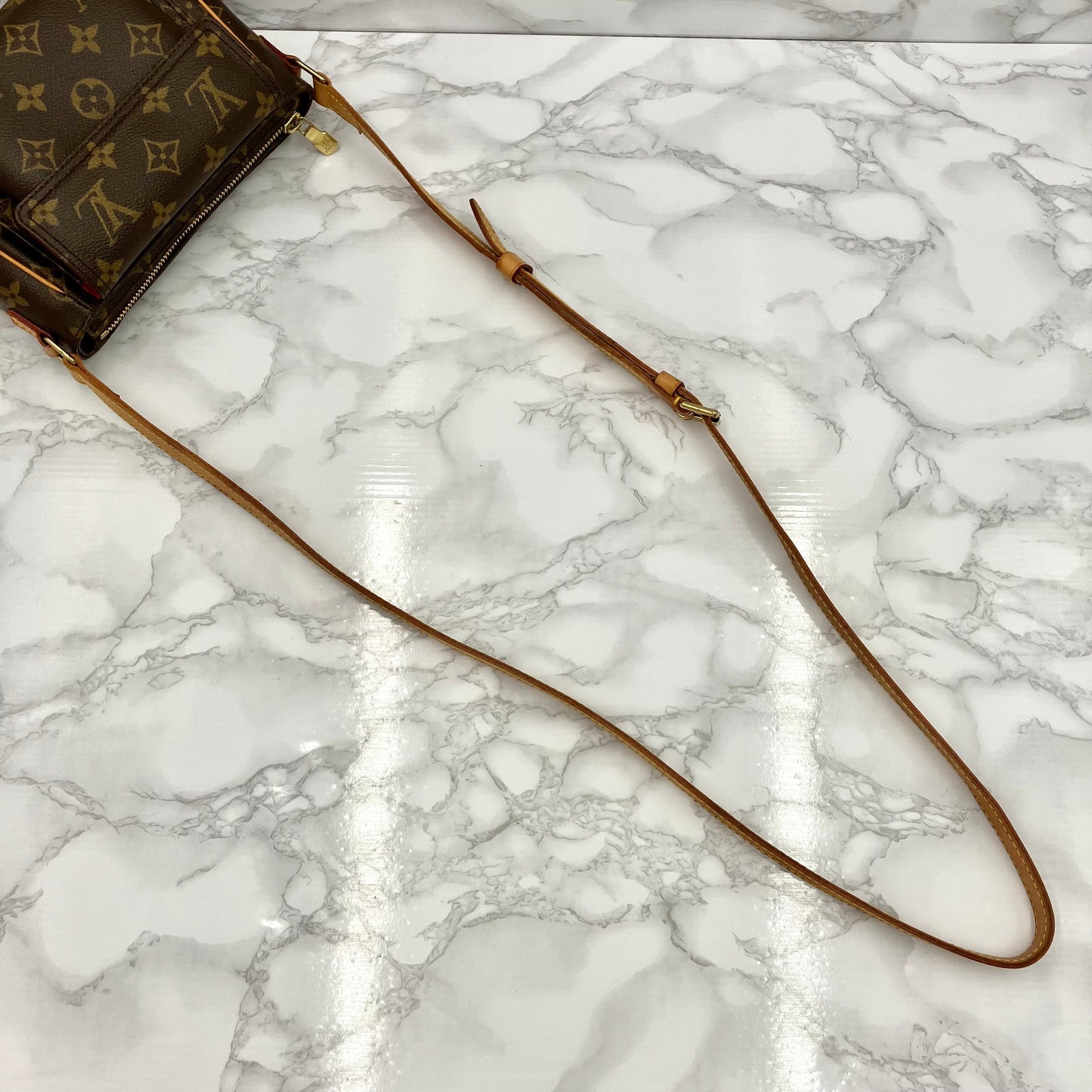 LOUIS VUITTON Monogram vivacite