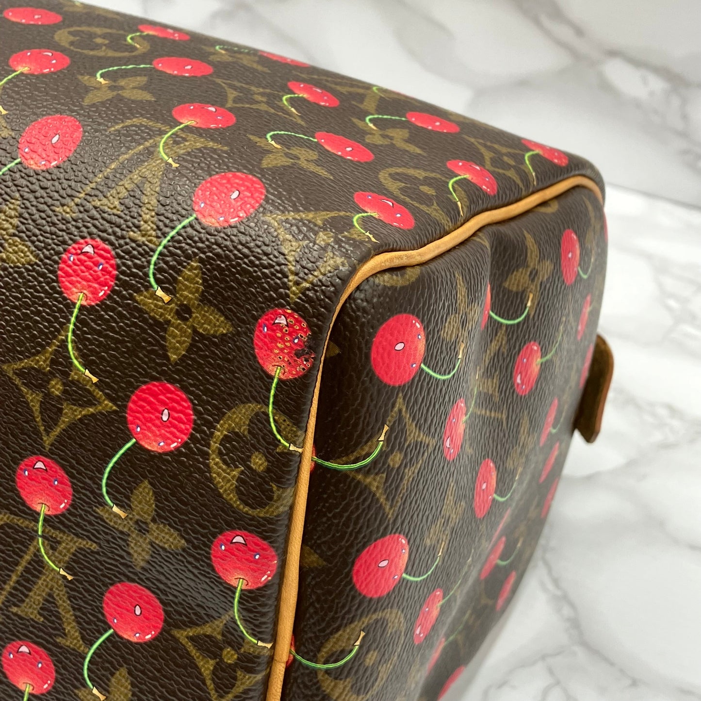 LOUIS VUITTON Speedy 25 monogram Cherry