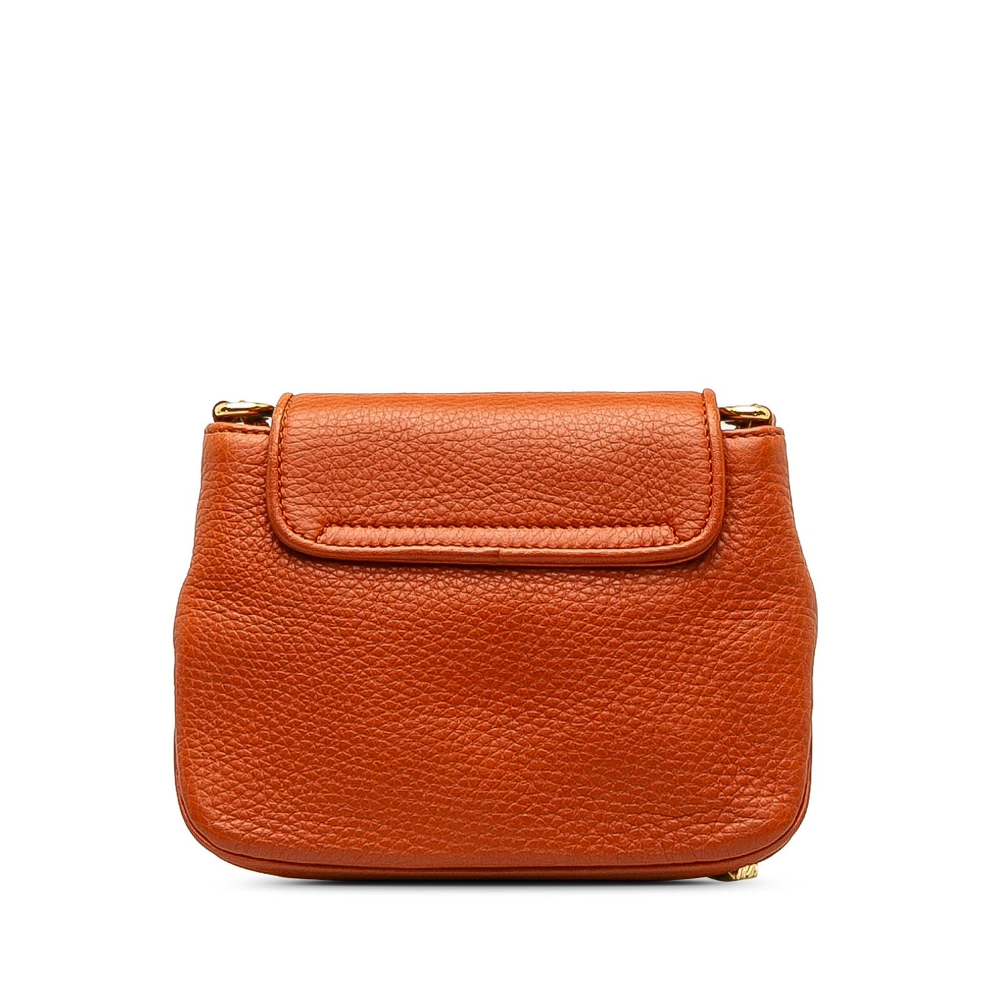 Small 1973 Leather Chain Crossbody