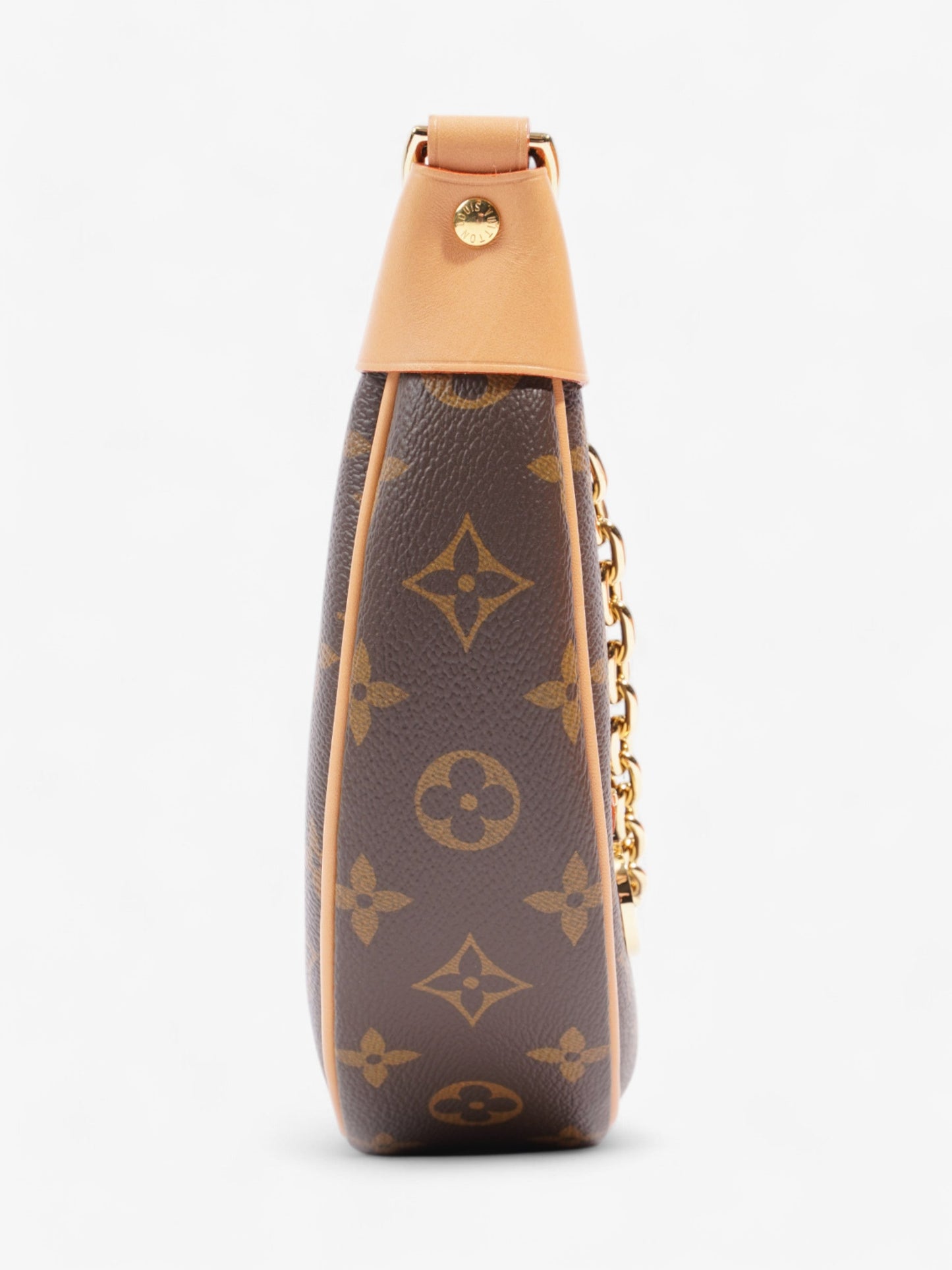 Louis Vuitton LV Monogram Loop bag Monogram Coated Canvas