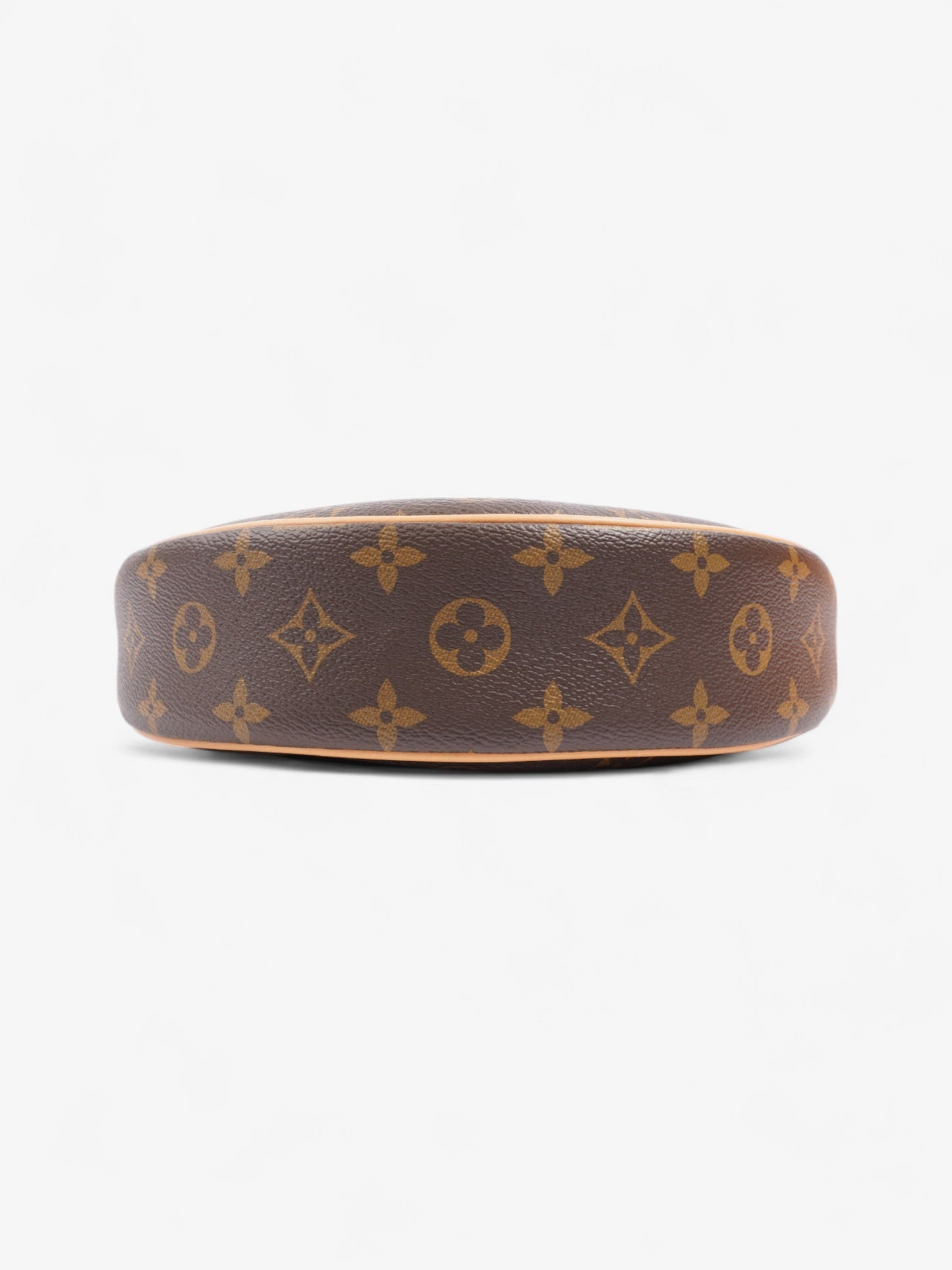 Louis Vuitton LV Monogram Loop bag Monogram Coated Canvas