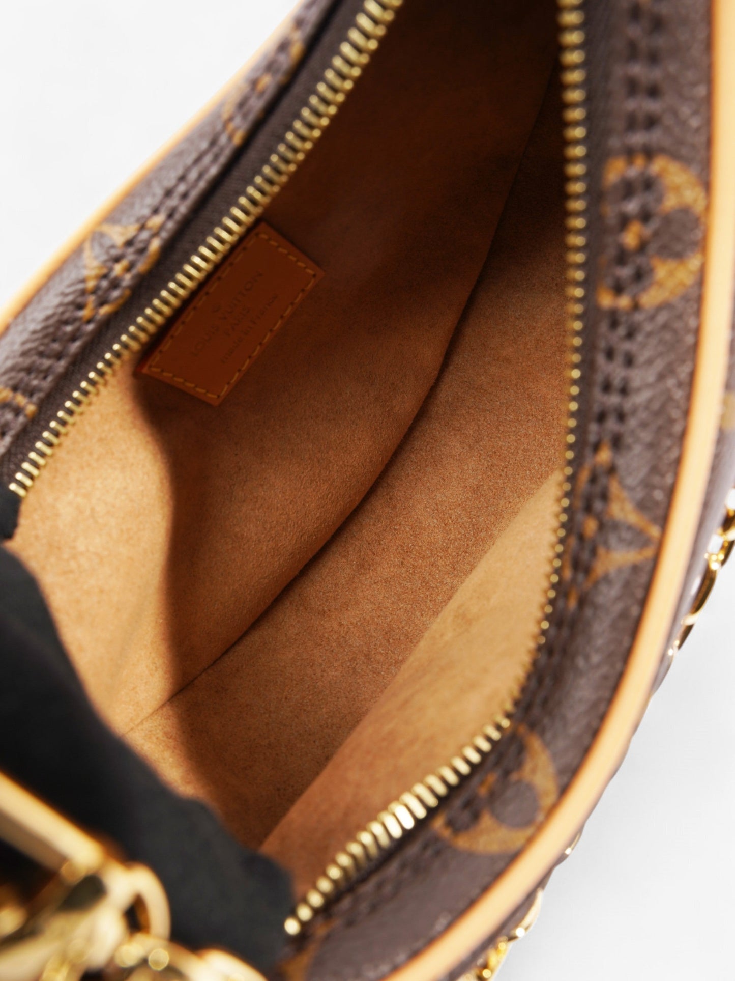 Louis Vuitton LV Monogram Loop bag Monogram Coated Canvas