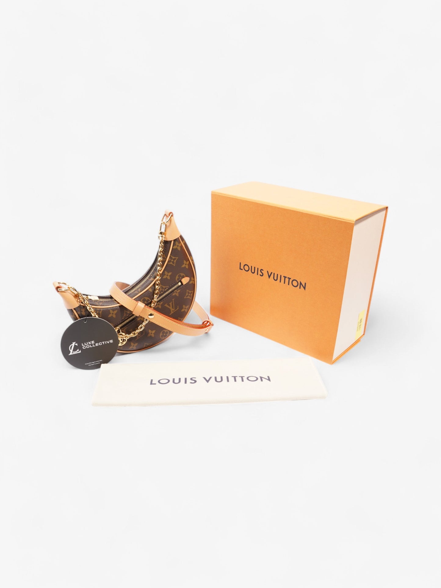 Louis Vuitton LV Monogram Loop bag Monogram Coated Canvas