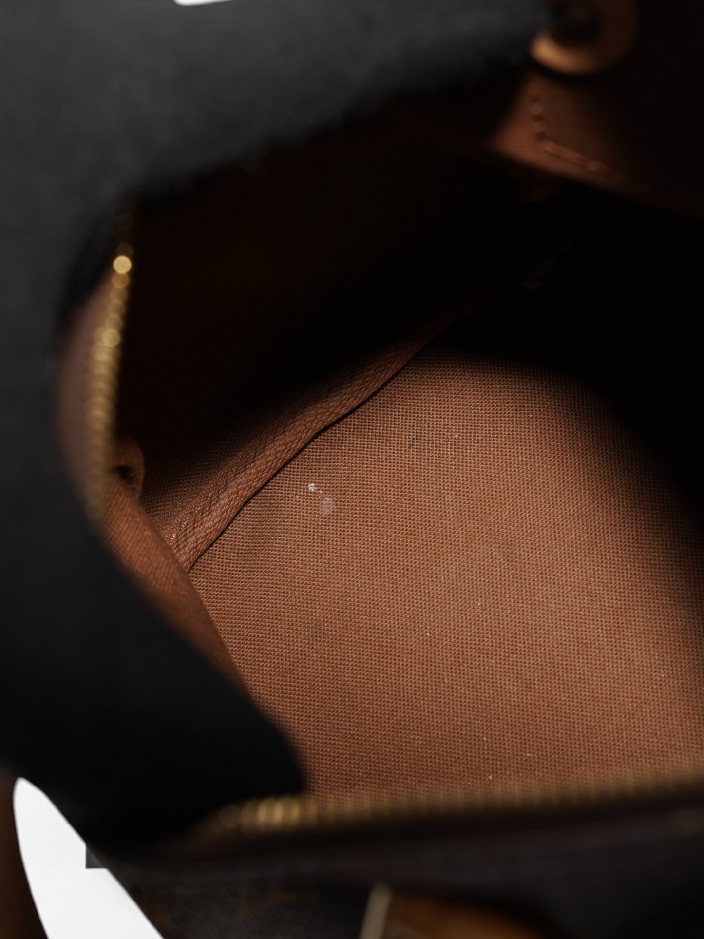 Louis Vuitton Speedy Monogram Coated Canvas 25