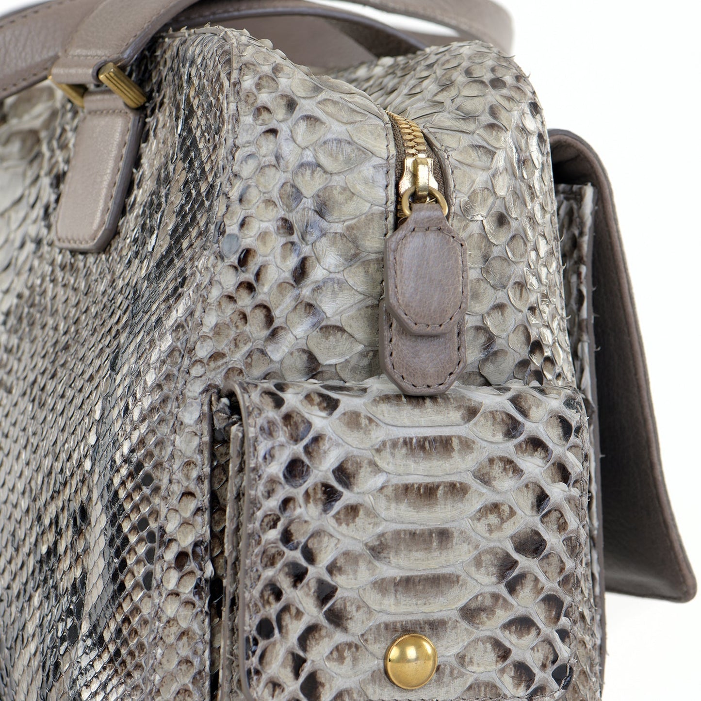 Catherine Snakeskin Box Satchel