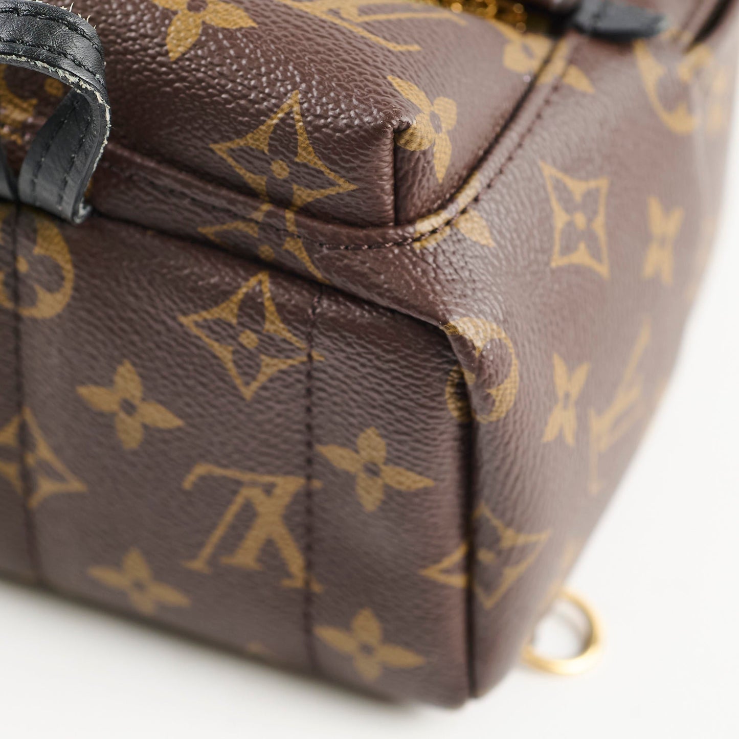 Louis Vuitton Mini Palm Spring Backpack Monogram
