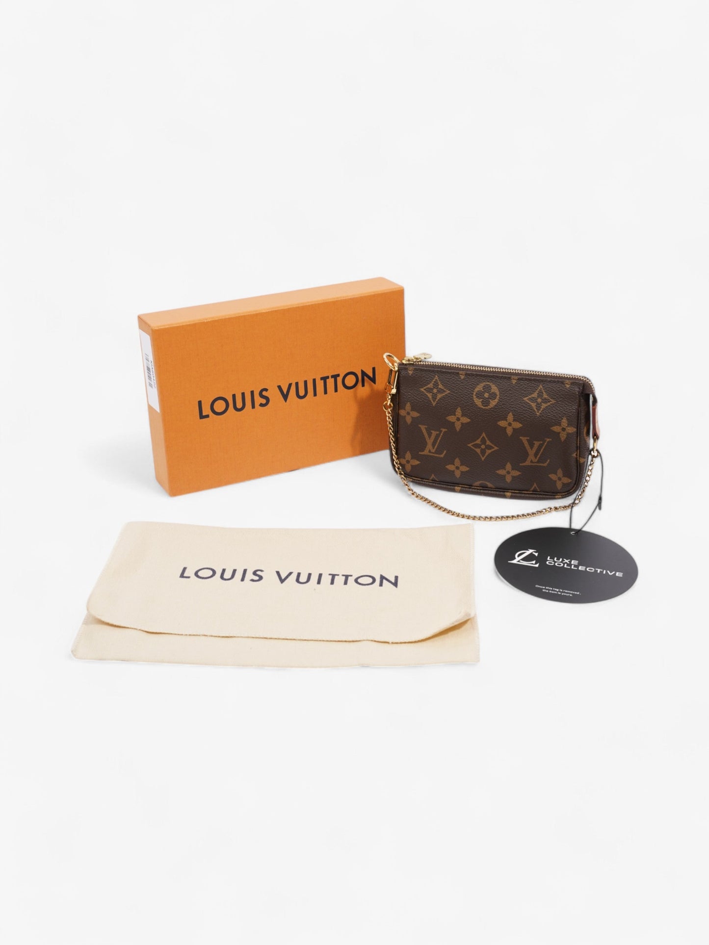 Louis Vuitton Pochette Accessoires Monogram Coated Canvas Mini