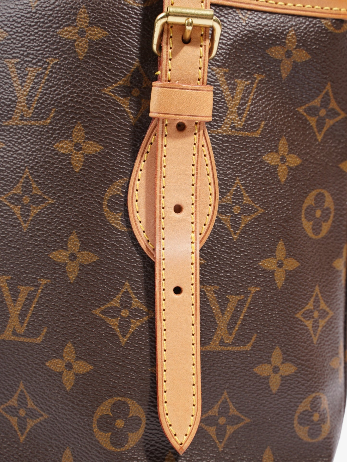 Louis Vuitton Bucket Monogram Coated Canvas PM
