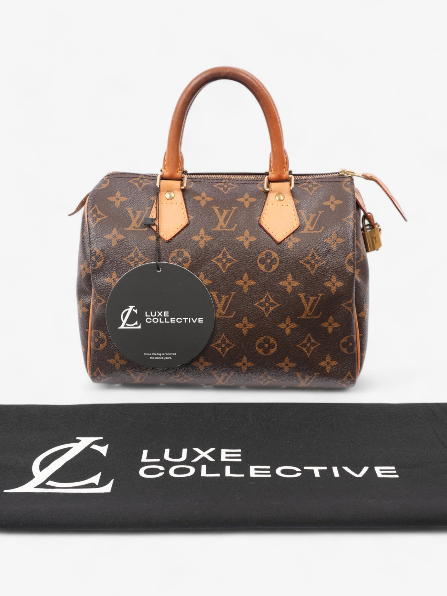 Louis Vuitton Speedy Monogram Coated Canvas 25