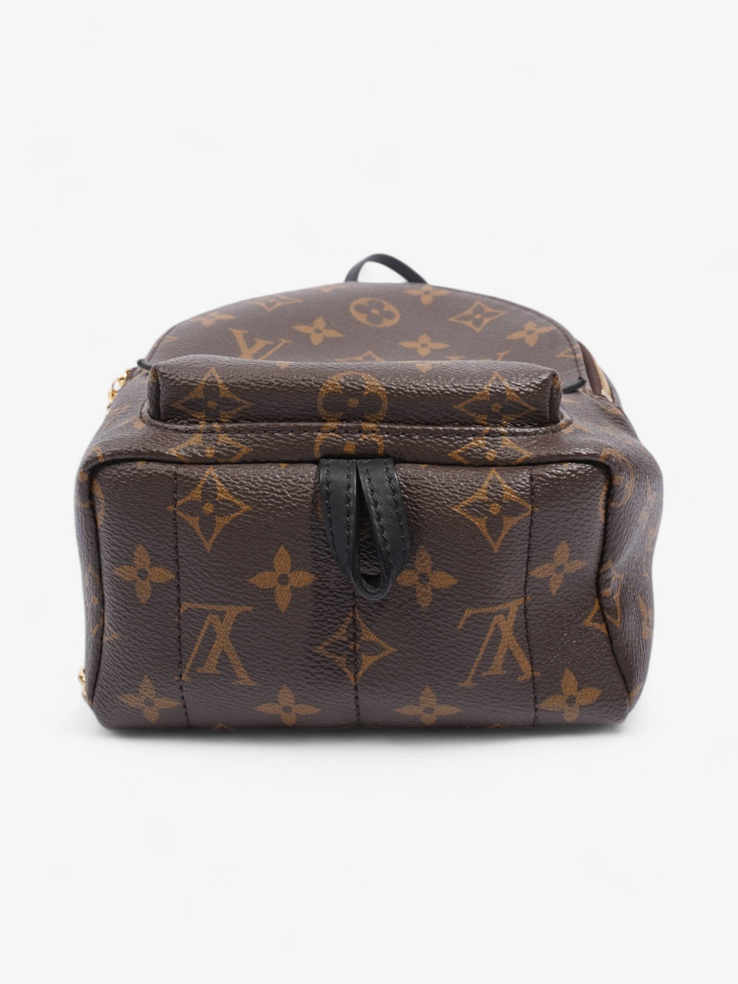 Louis Vuitton Palm Springs Monogram / Black Canvas Mini