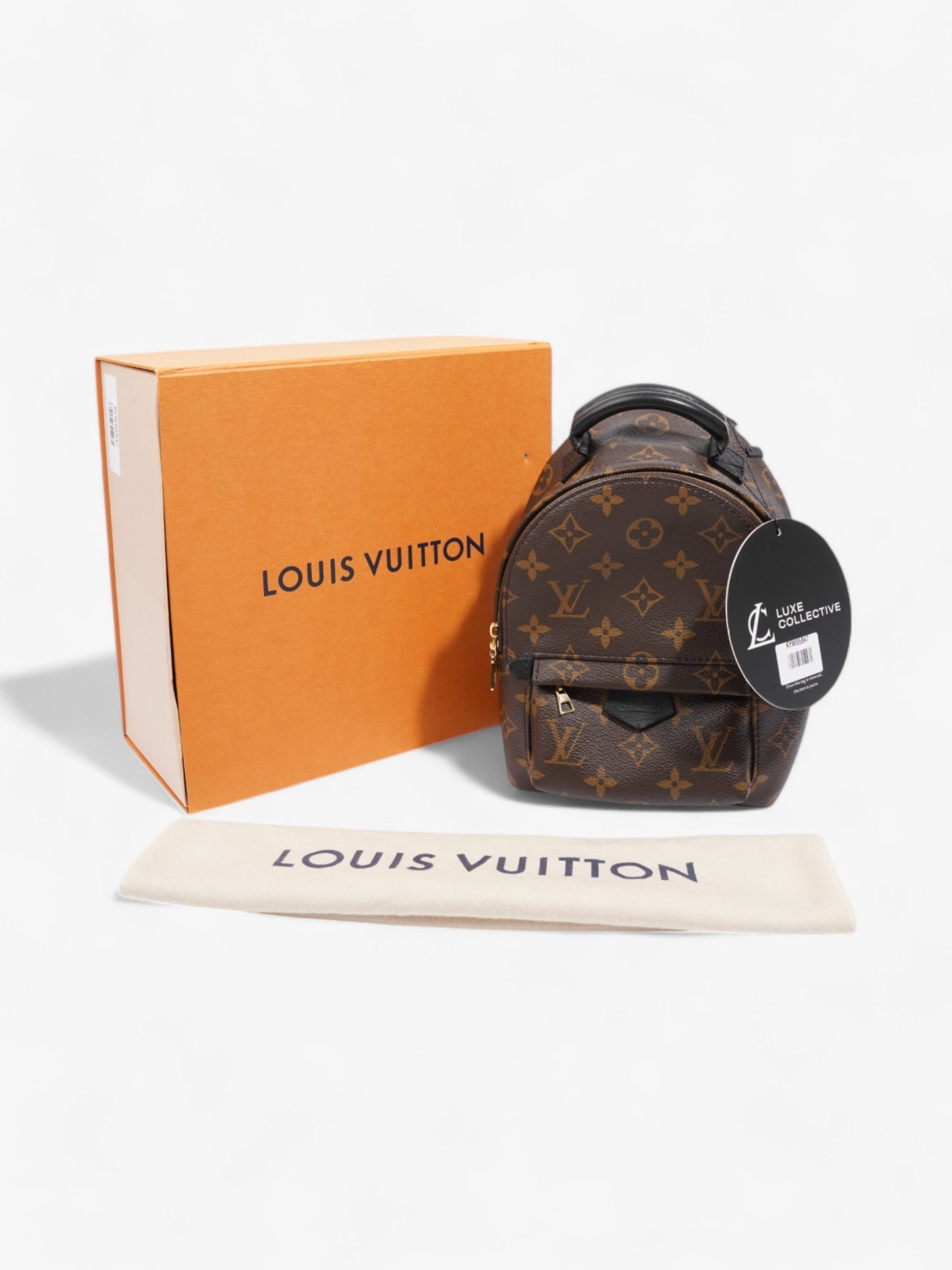 Louis Vuitton Palm Springs Monogram / Black Canvas Mini