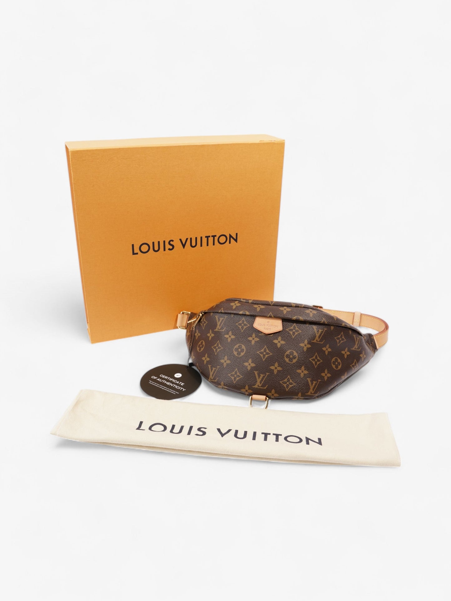 Louis Vuitton Bum Bag Monogram Coated Canvas