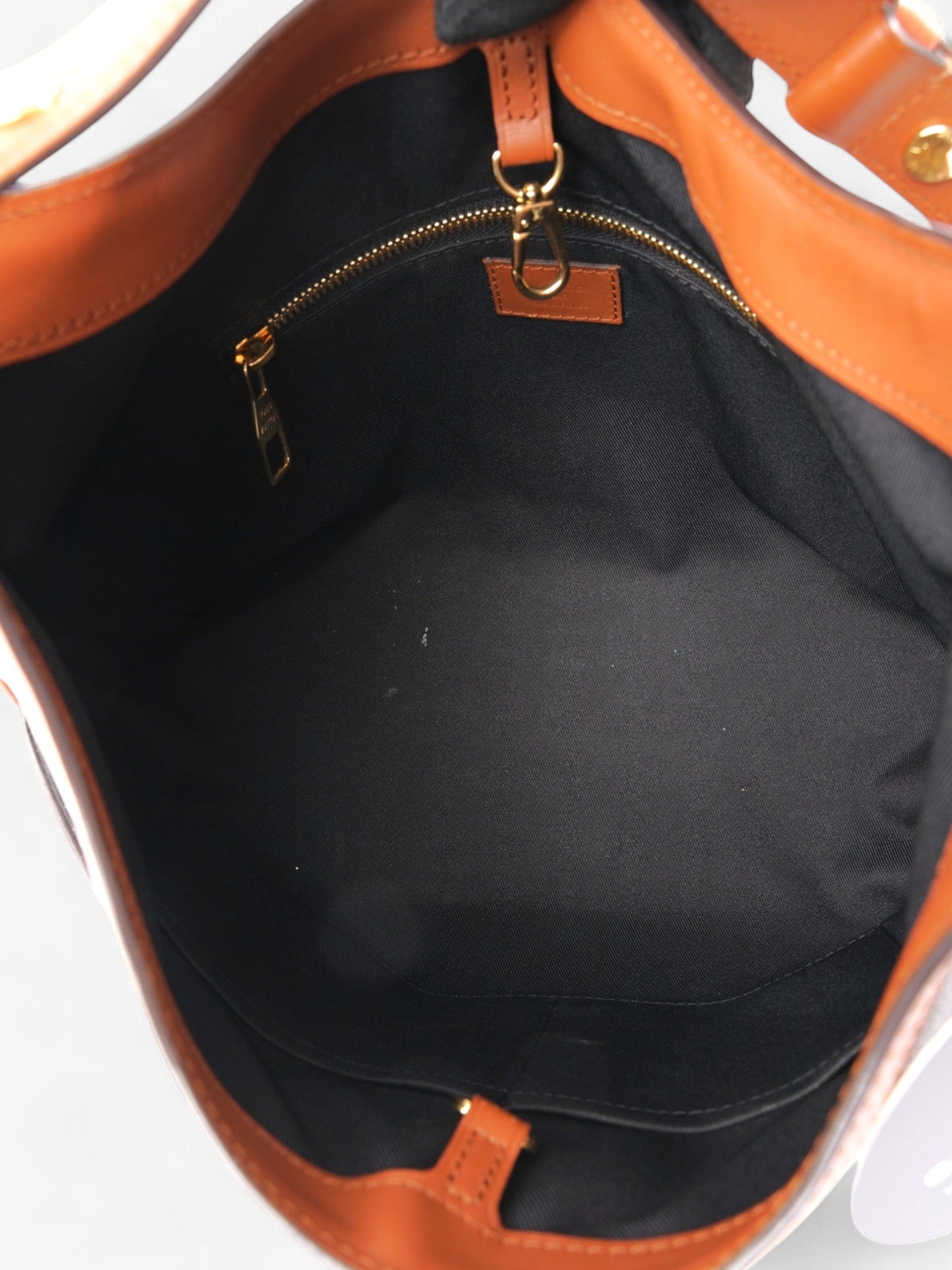 Louis Vuitton Dauphine Hobo Monogram / Monogram Reverse Coated Canvas MM