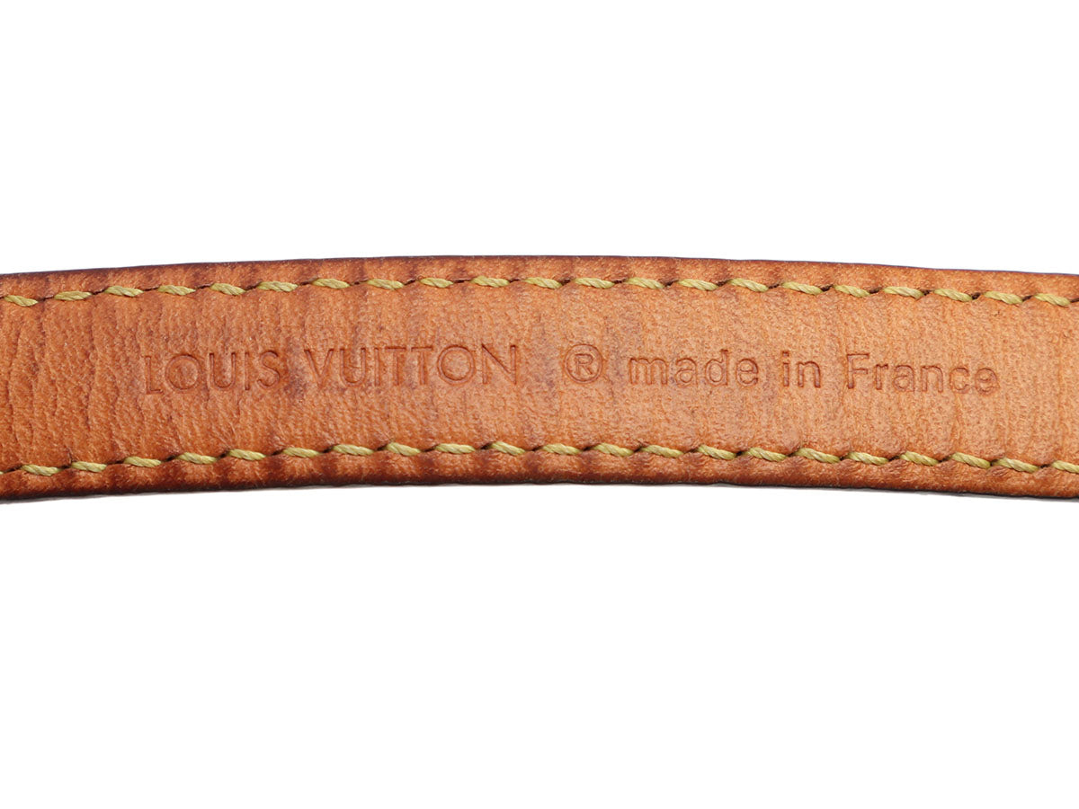Louis Vuitton Monogram Baxter Dog Collar and Leash