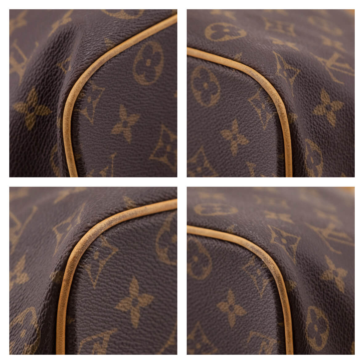 Louis Vuitton Monogram Palermo GM