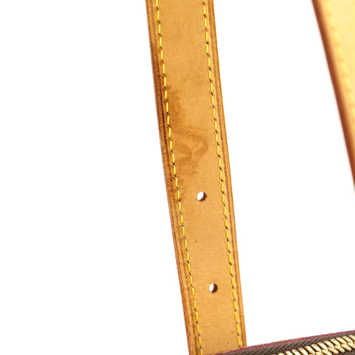 Louis Vuitton Monogram Palermo GM