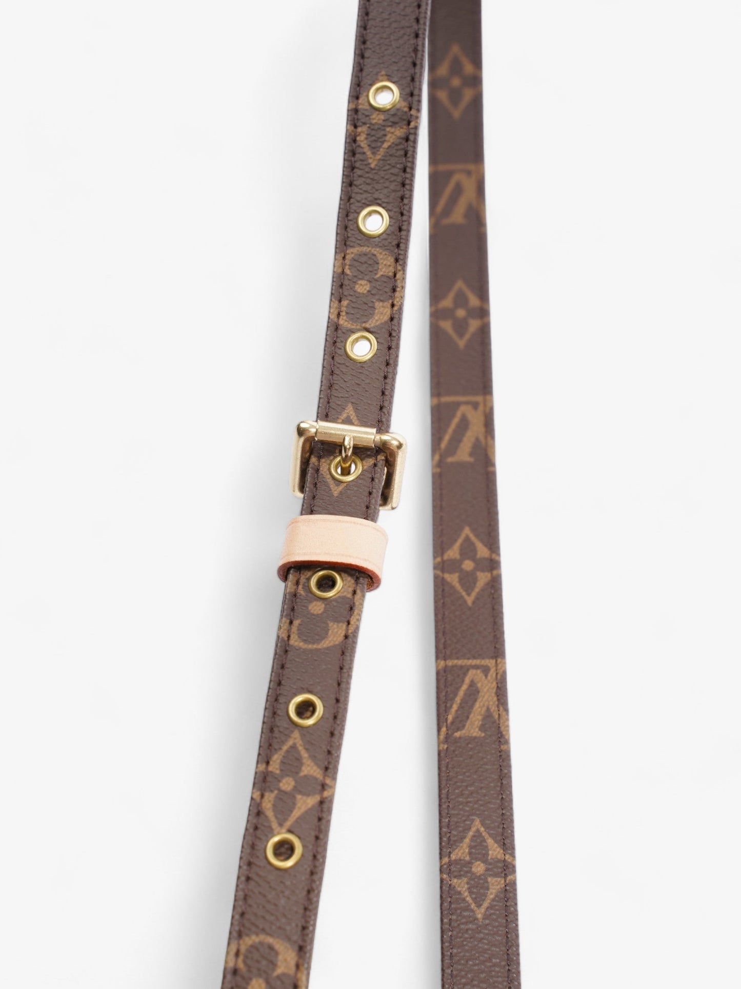 Louis Vuitton Bandouli猫re Monogram Coated Canvas