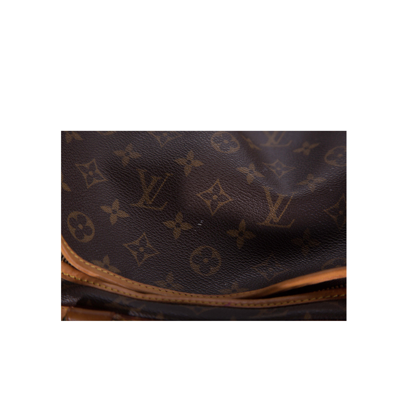 Louis Vuitton Dog Carrier