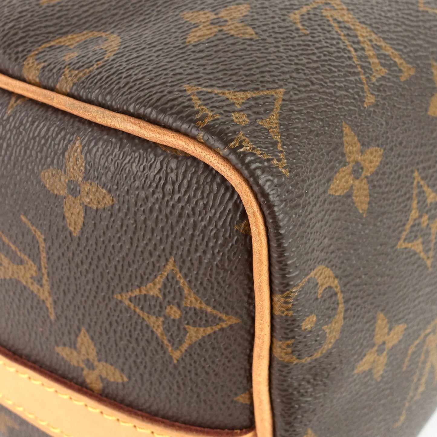 Louis Vuitto Speedy BandouliÃ¨re 25 Monogram Canvas Bag