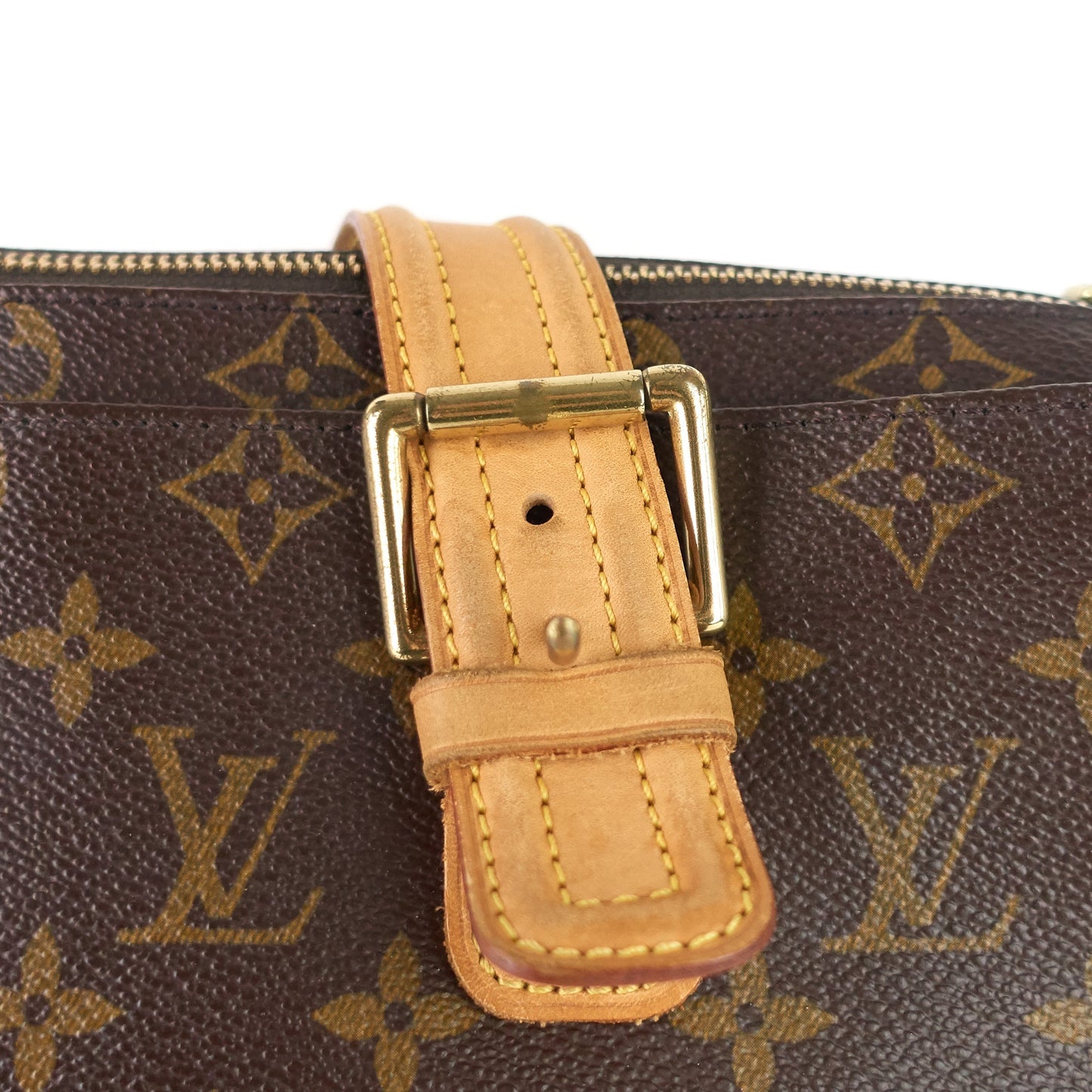 Louis Vuitto Multipli Cite GM Monogram Canvas Bag