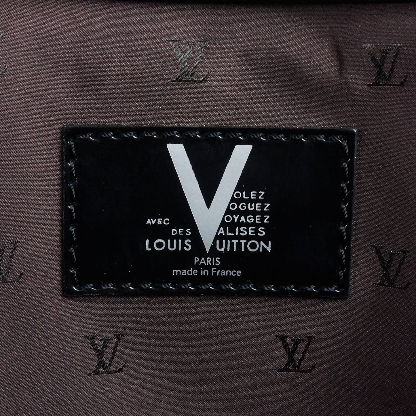 Louis Vuitto Whistler Cabas Pony Hair Tote Bag