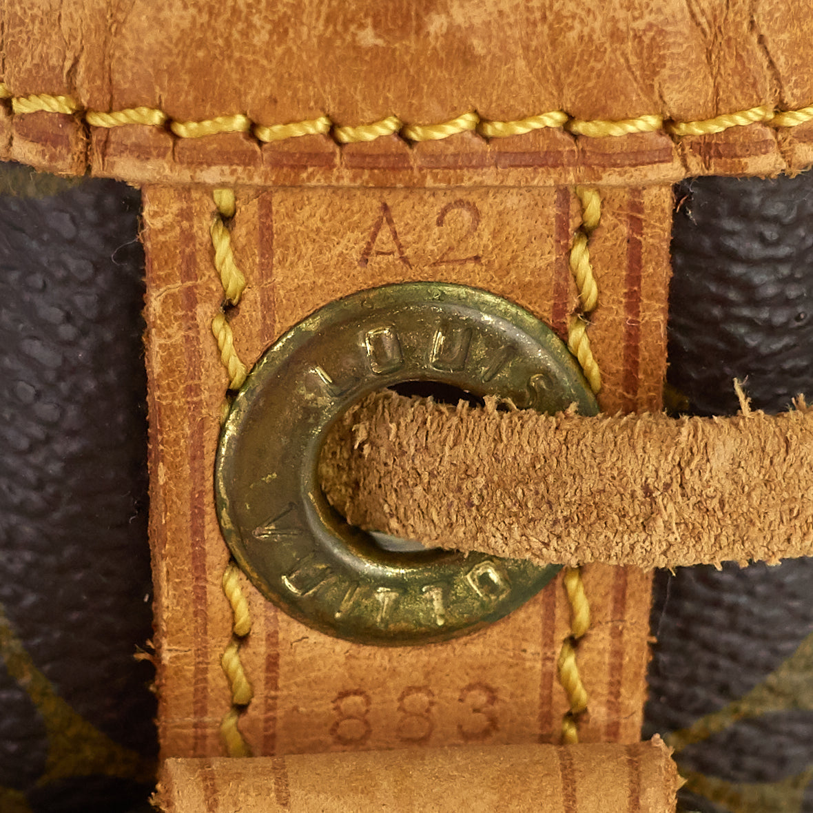 Louis Vuitto Petite NoÃ© Monogram Canvas Bag