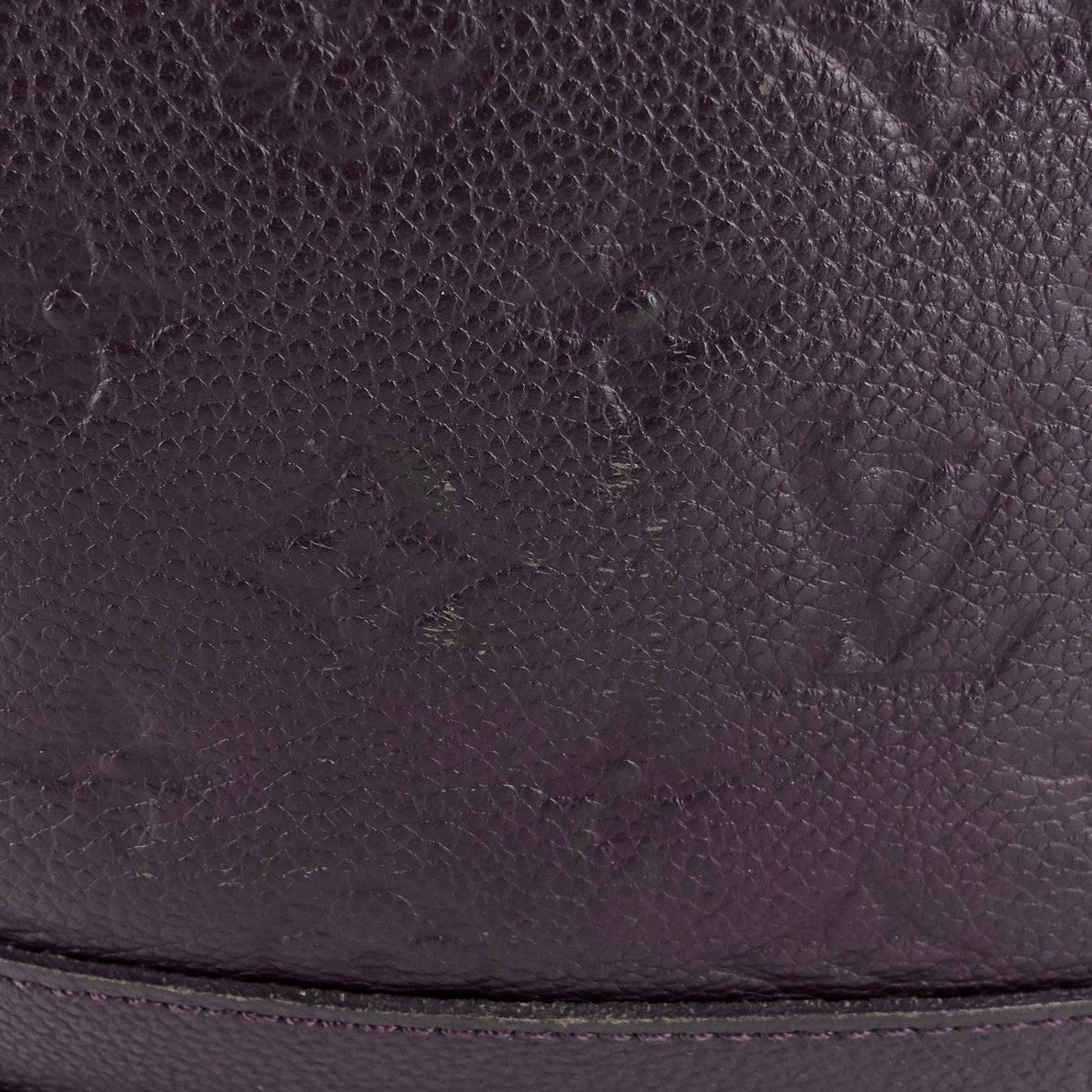 Louis Vuitto Citadine Monogram Empreinte Leather Tote Bag