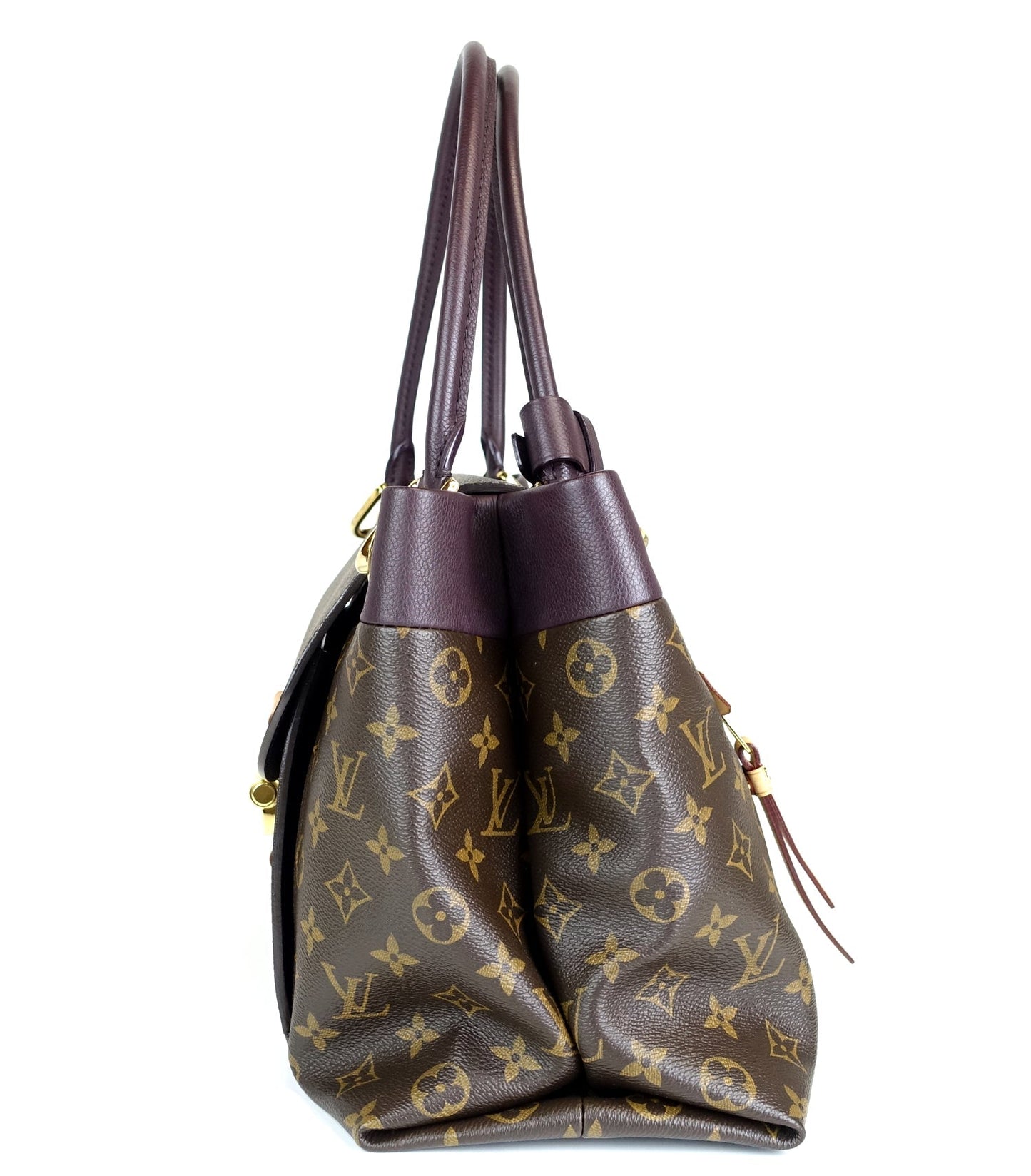 Louis Vuitto Olympe Monogram Canvas Bag
