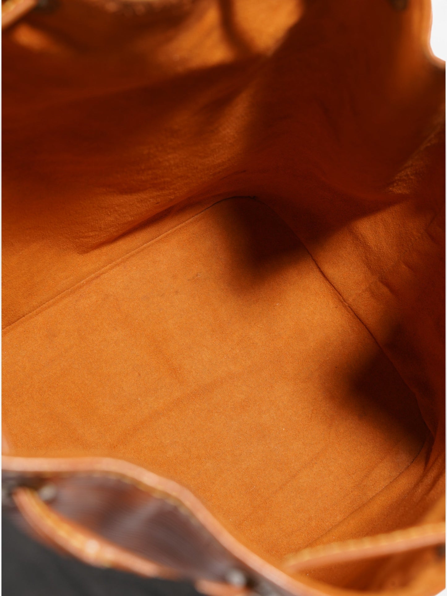 Louis Vuitton No茅 Brown  Epi Leather
