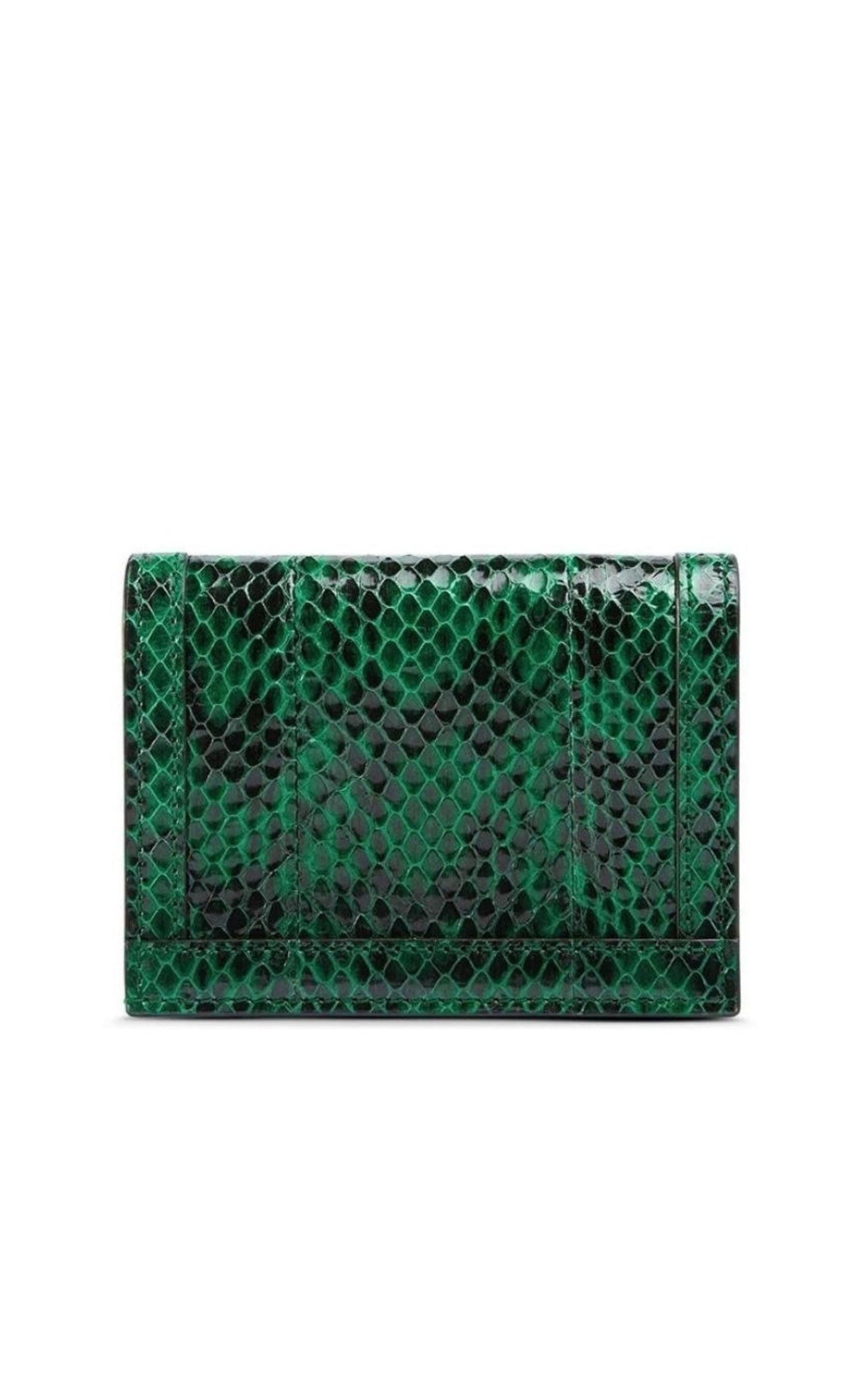 Ophidia Snake Skin Card Case