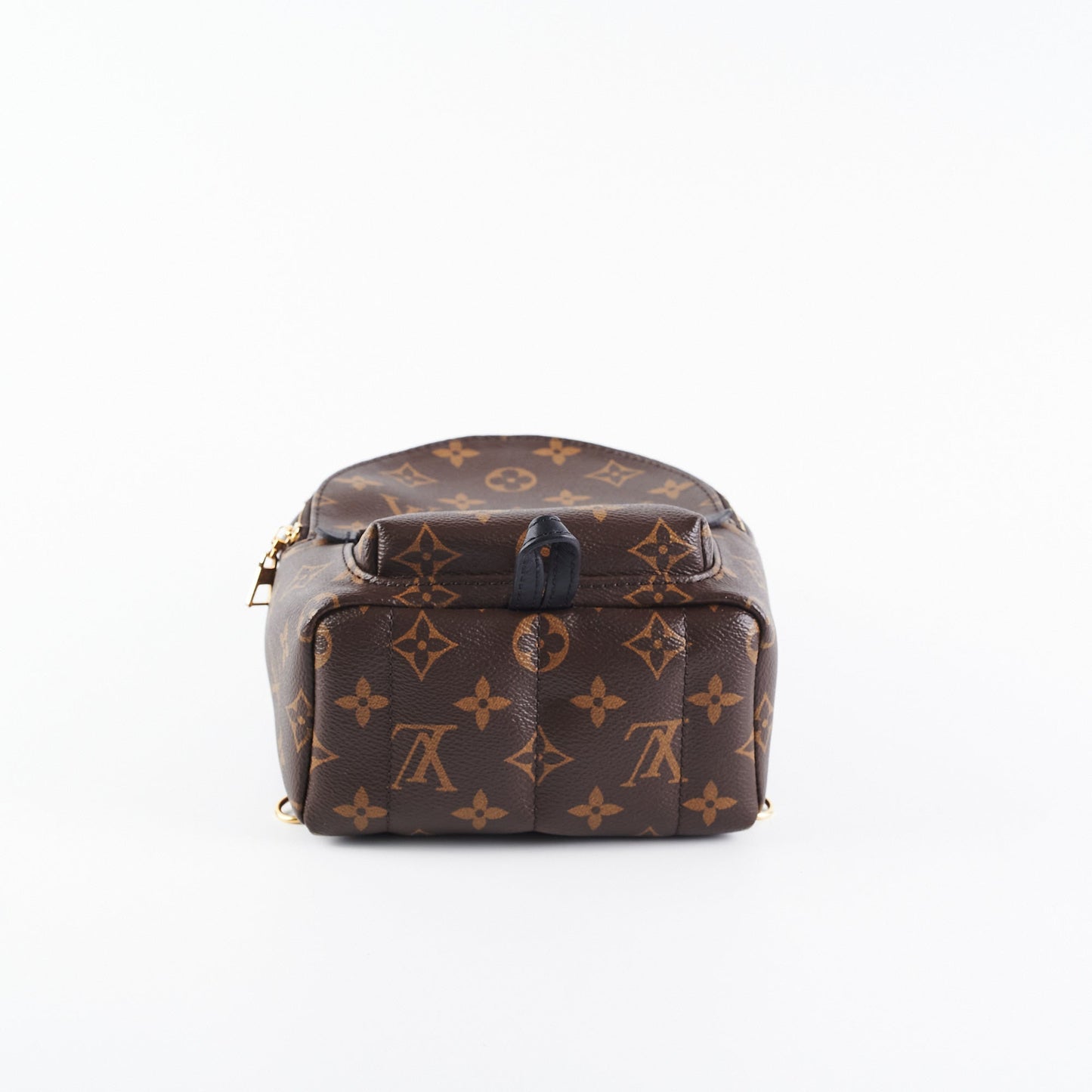 Louis Vuitton Palm Spring Mini Monogram