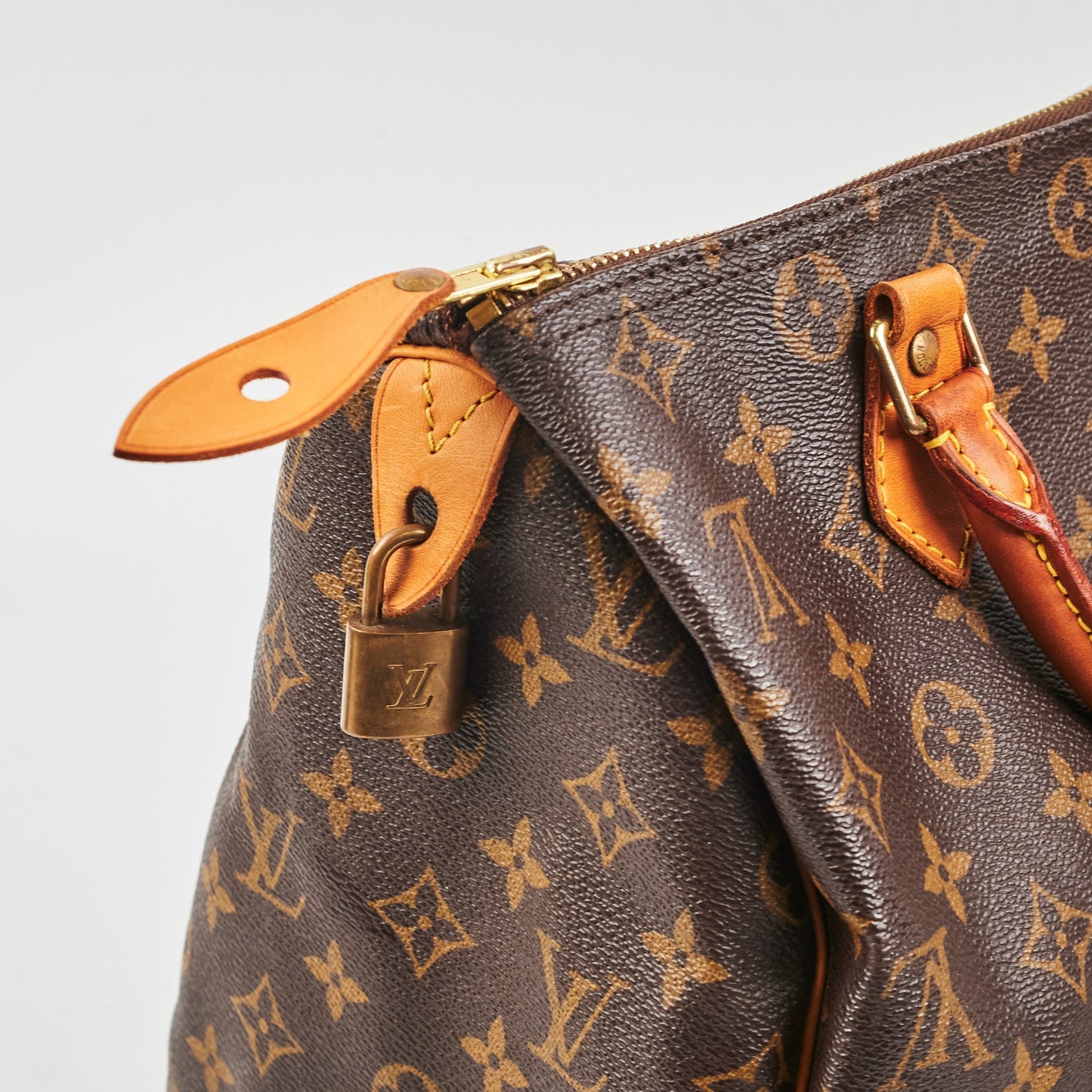 Louis Vuitton Speedy 30 Monogram