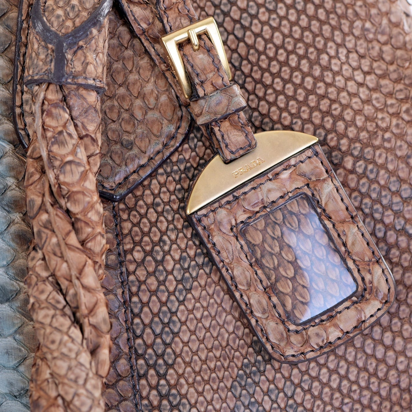 Large Snakeskin Frame Bag