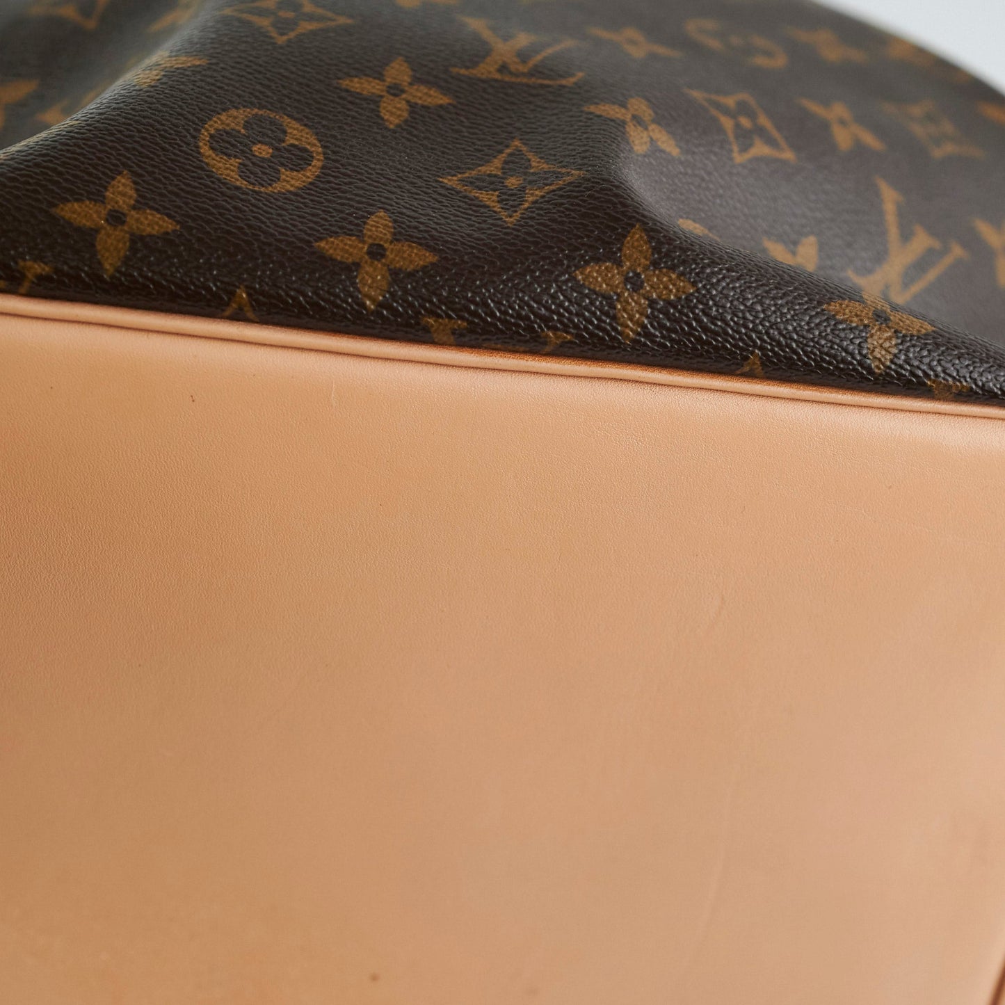 Louis Vuitton Monogram Bucket