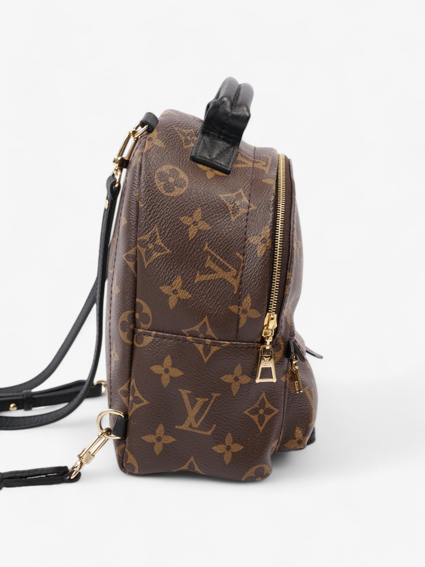 Louis Vuitton Palm Springs Monogram Coated Canvas Mini