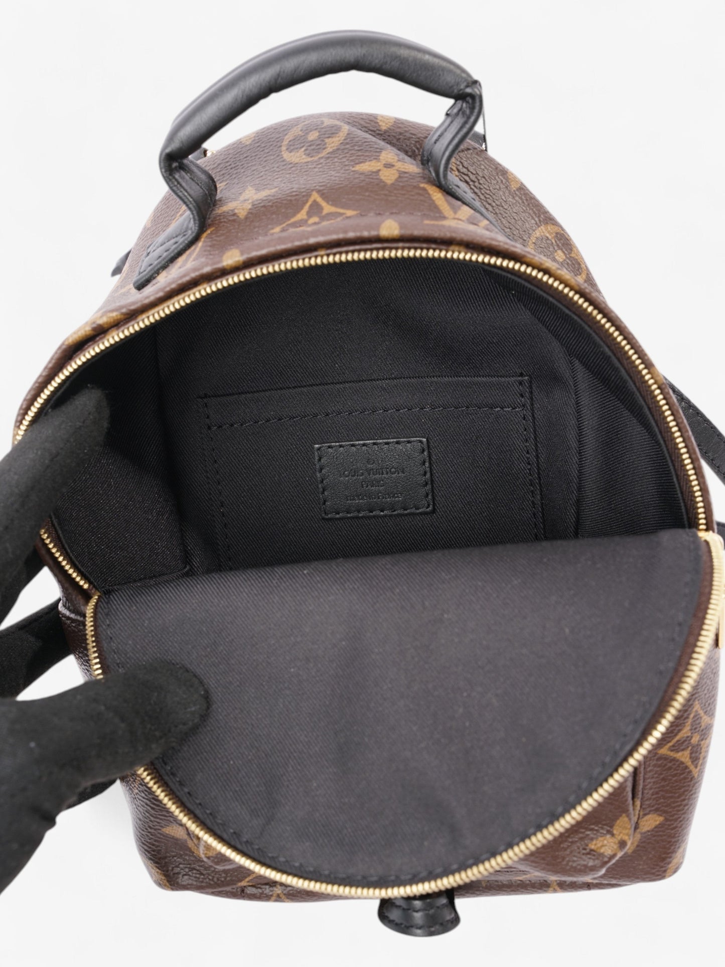 Louis Vuitton Palm Springs Monogram Coated Canvas Mini