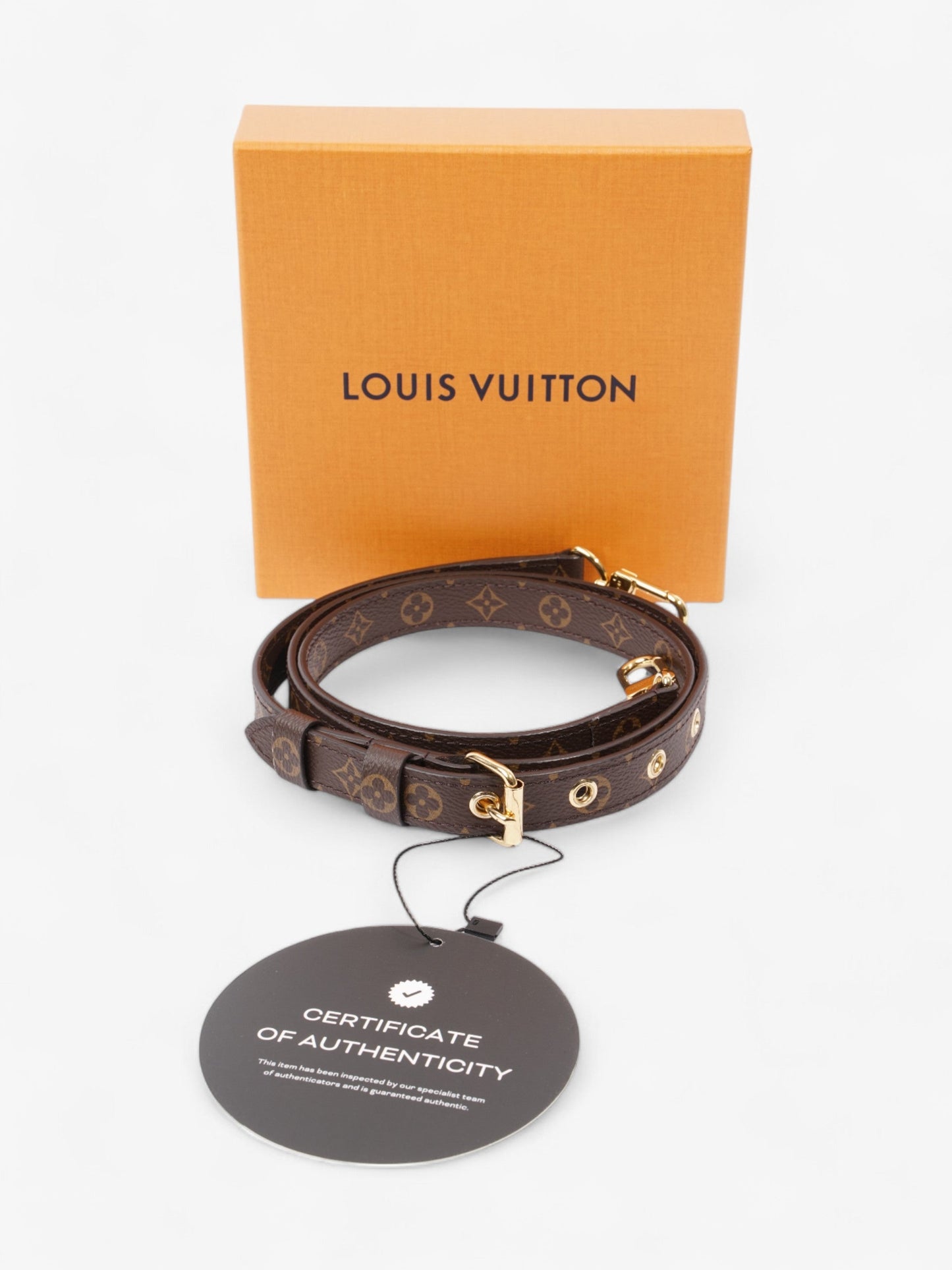 Louis Vuitton Bandouli猫re Bag Strap Monogram / Gold Canvas