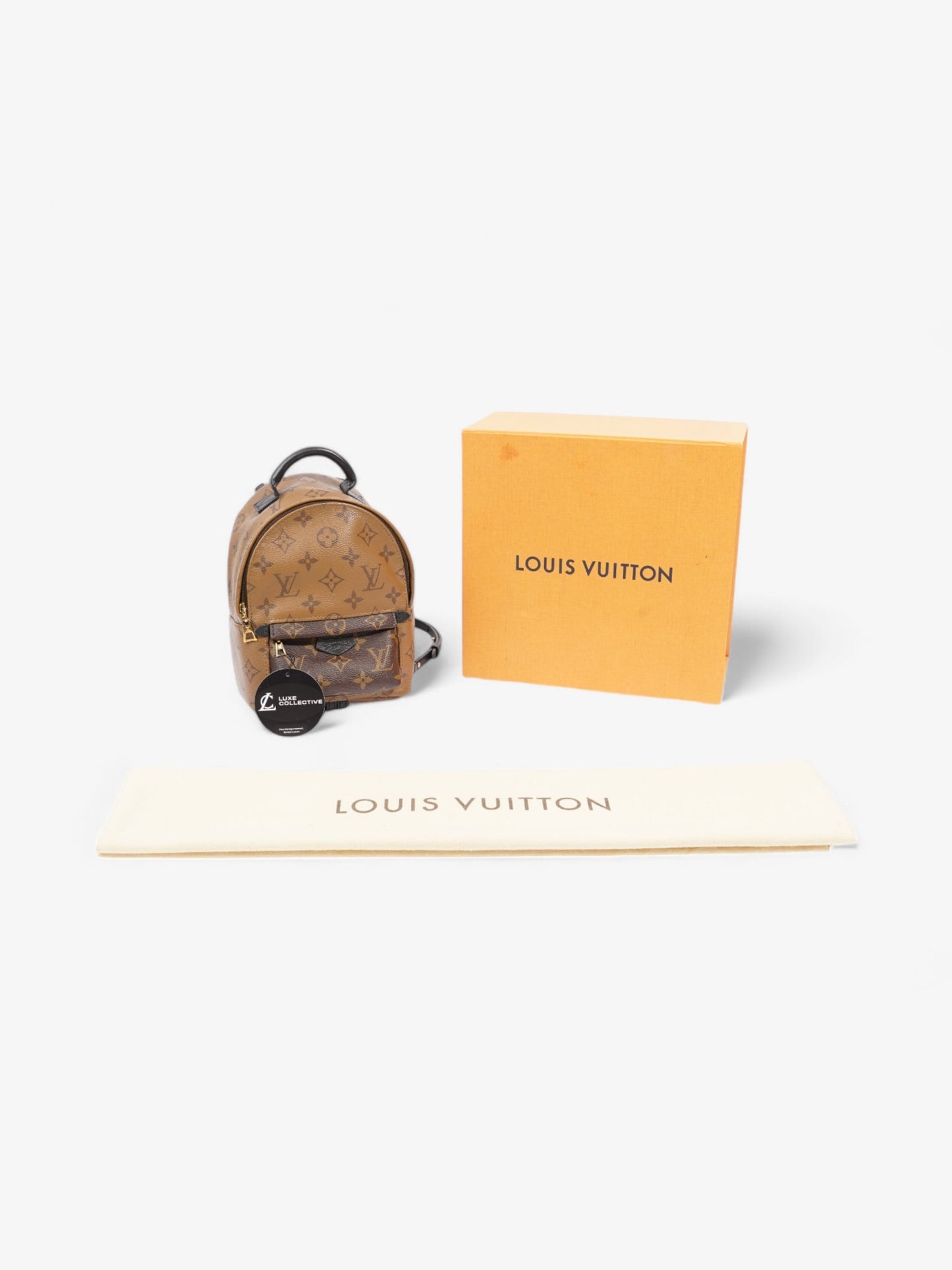 Louis Vuitton Palm Springs Monogram Coated Canvas Mini