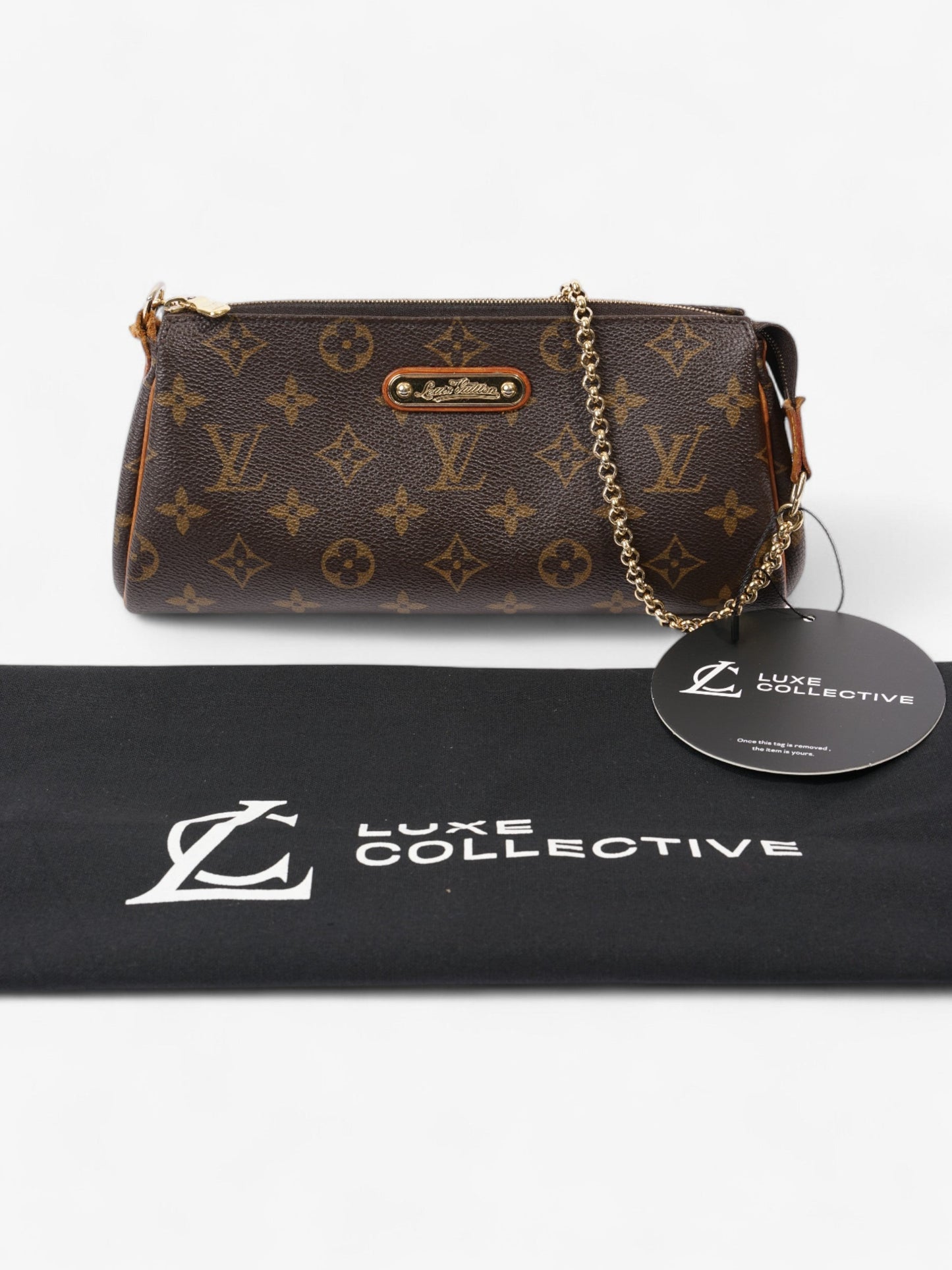 Louis Vuitton Eva Monogram Canvas