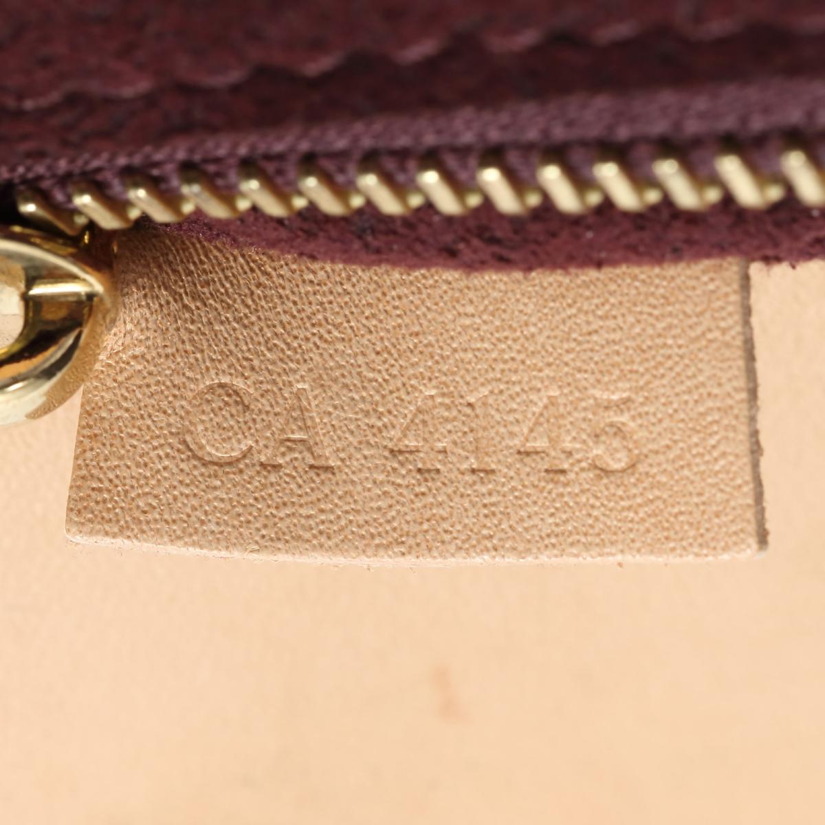 Louis Vuitto Phenix MM Monogram Canvas Bag