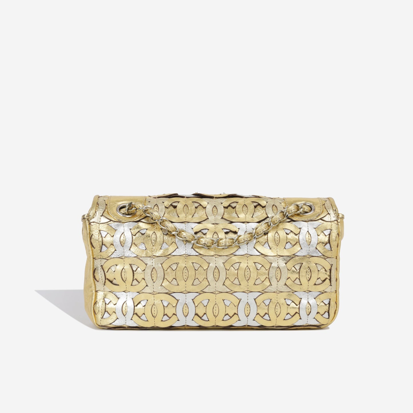 Chanel Seasonal Flap Bag