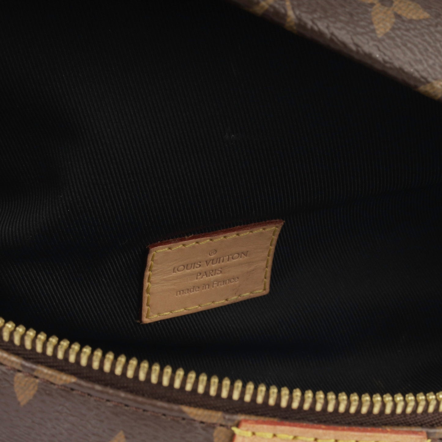 Louis Vuitton Bumbag - Monogram Canvas