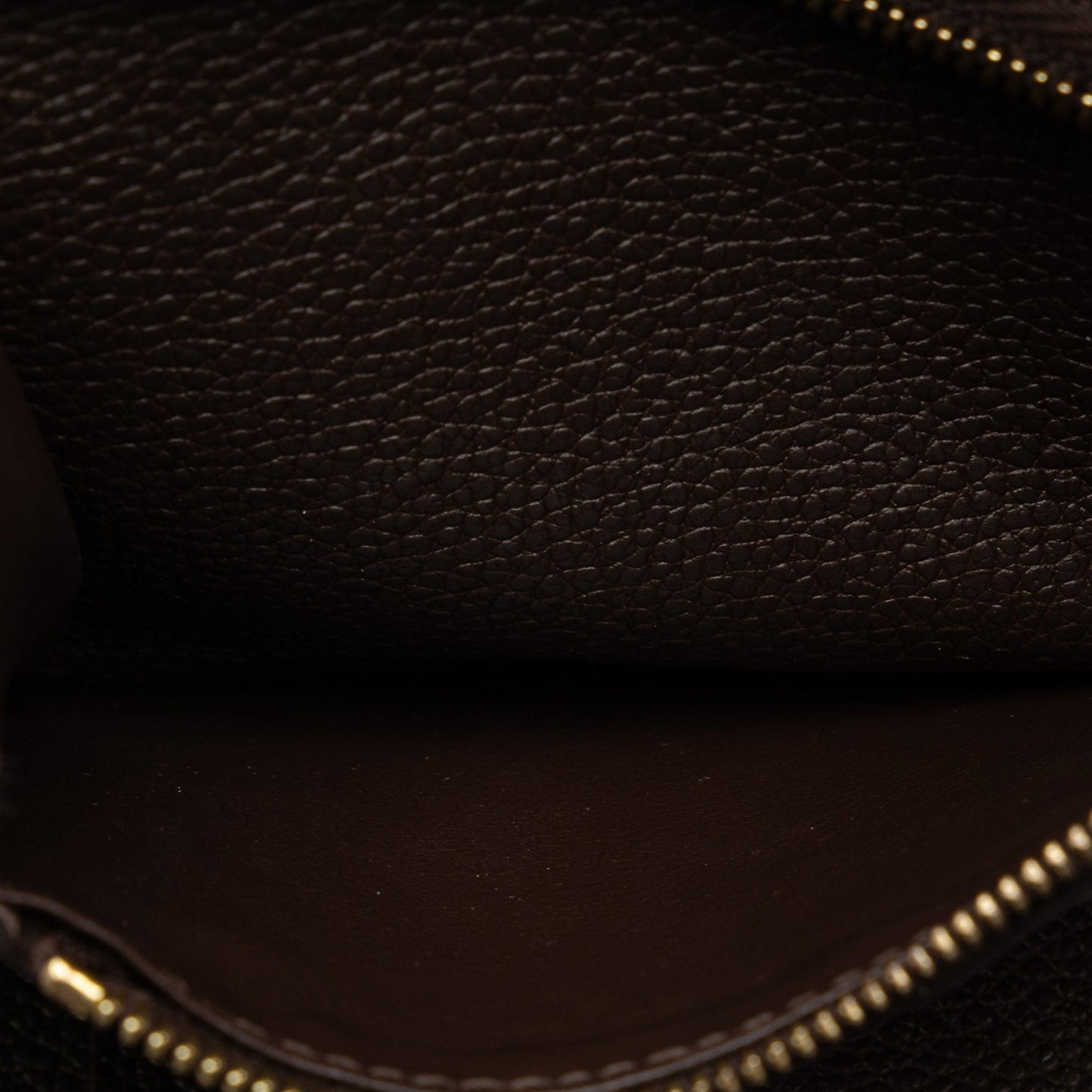 Brown Louis Vuitton Monogram Empreinte Portefeuille Curieuse Wallet