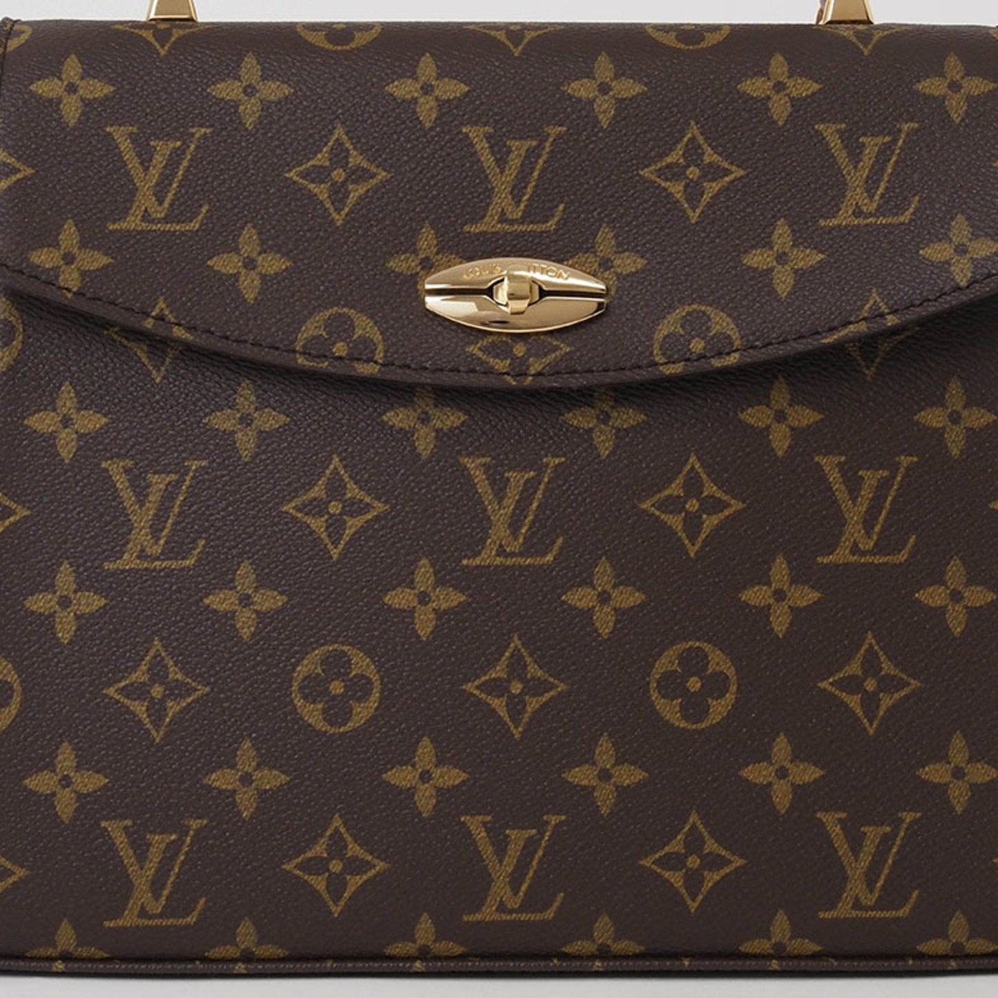 Luxury Designer Canvas Handbag with Dust Bag