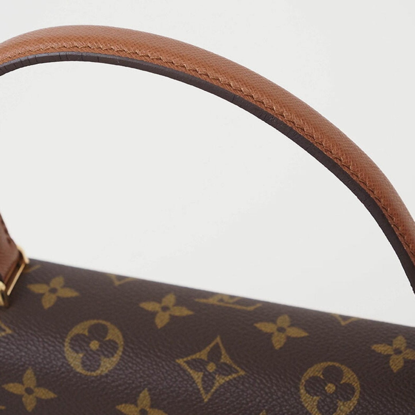 Luxury Designer Canvas Handbag with Dust Bag