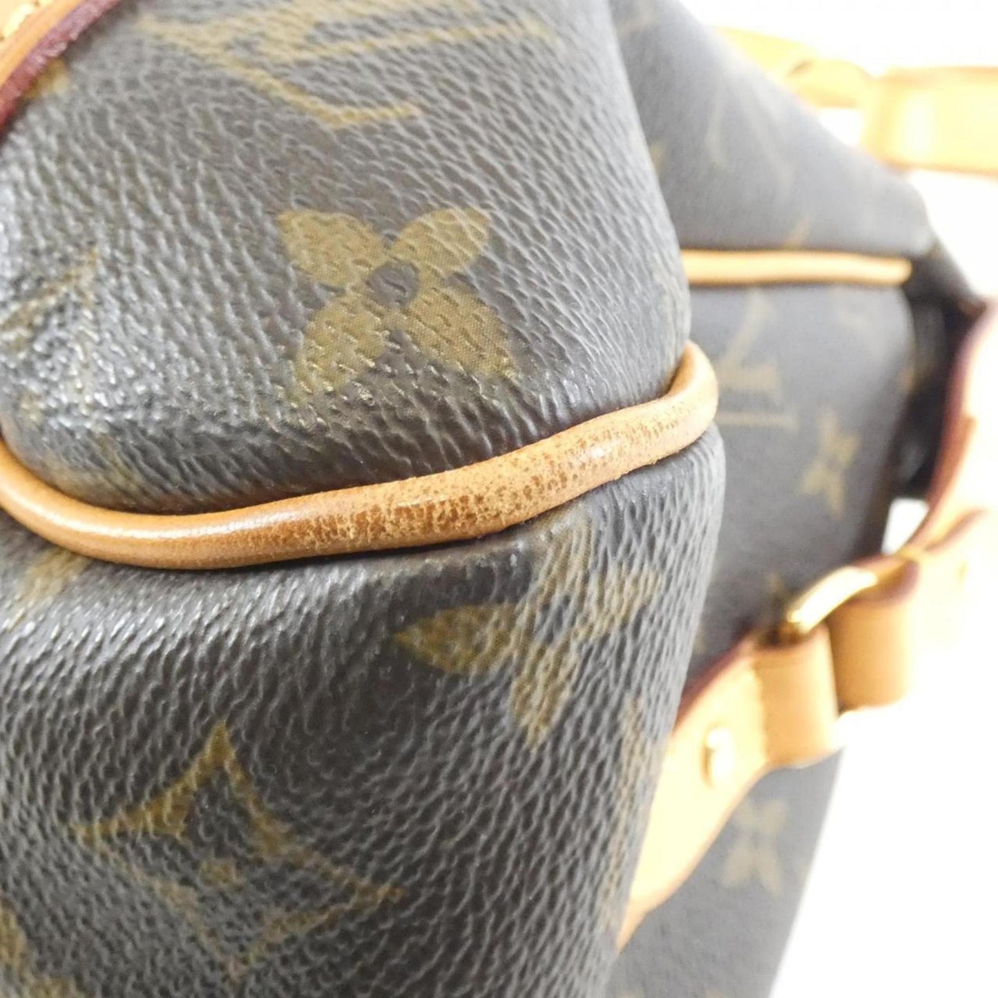 Stresa PM Canvas Handbag with Dust Bag Good Condition