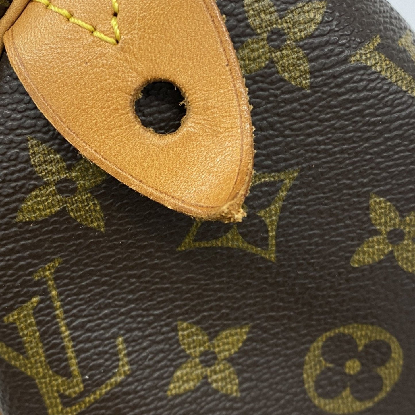 Speedy 25 Monogram Canvas Handbag
