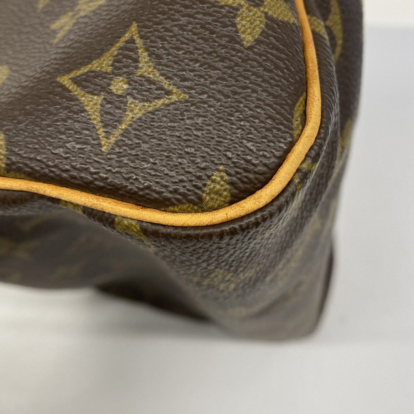 Speedy 25 Monogram Canvas Handbag