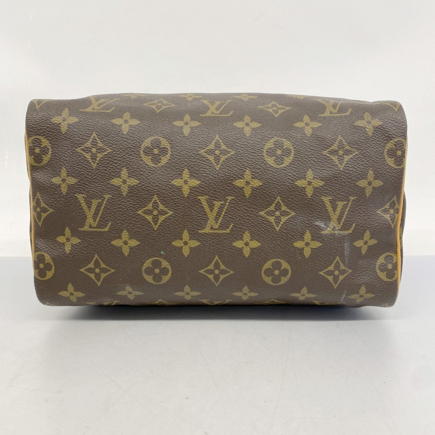 Speedy 25 Monogram Canvas Handbag